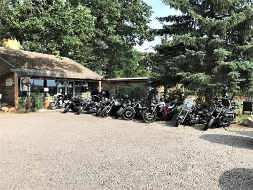 a row of motorcycles parked in front of a building at Pension Bella Vista - Winzerhof Golk in Meißen