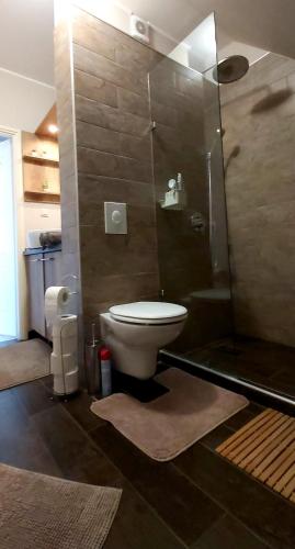 a bathroom with a toilet and a shower at Hétvezér Penthouse Apartments in Szeged