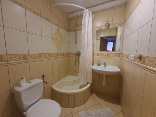La salle de bains est pourvue de toilettes et d'un lavabo. dans l'établissement Agroturystyka Dobri mól, à Kiedrowice