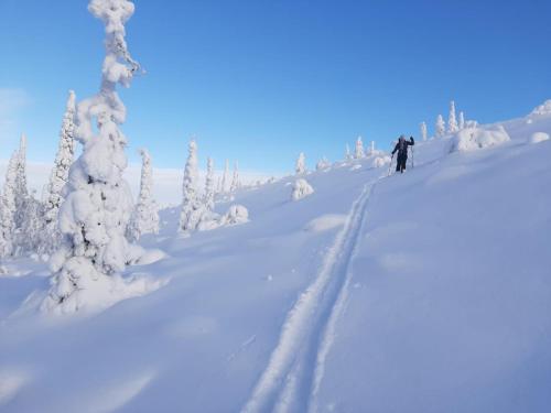 a person is skiing down a snow covered slope at Isokelo Log Apartments in Salla
