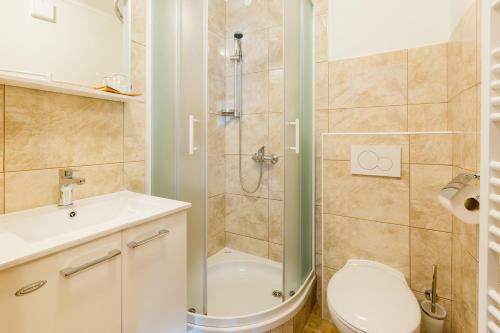 a bathroom with a shower and a toilet and a sink at Penzion Kaps in Bled