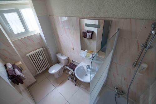 a bathroom with a sink and a toilet and a shower at Hôtel de La Poste in Douvaine