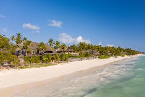 an aerial view of a beach with houses and the ocean at Hekaya Zanzibar in Pingwe