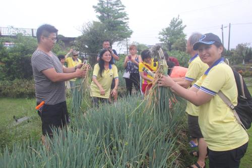a group of people standing in a field of tall grass at Vanilla Twilight in Wujie