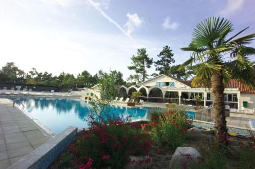 une piscine avec un palmier et une maison dans l'établissement MH 445 le bois dormant, à Saint-Jean-de-Monts