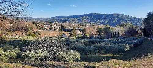 a view of a town with trees and a mountain at Villa Lei Rigaü in Salernes