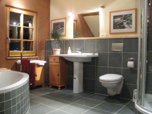 een badkamer met een wastafel, een toilet en een bad bij Lehmlounge in Monschau