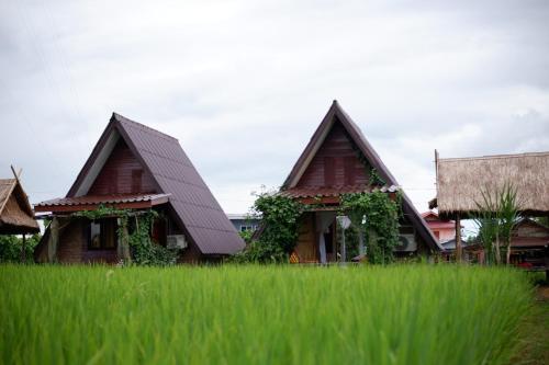 a house in a field of tall green grass at Huean Himbo in Chiang Rai