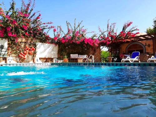 Der Swimmingpool an oder in der Nähe von Nile Compound