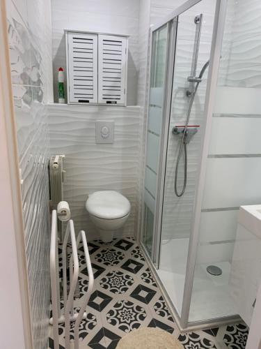 une petite salle de bain avec toilettes et douche dans l'établissement LE GRAND LARGE, à Sainte-Maxime