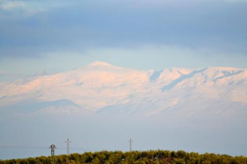 a view of a mountain range with trees in the foreground at Hotel El Cruce Moraleda in Moraleda de Zafayona