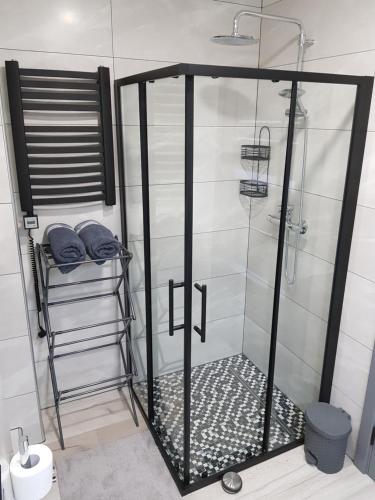 a shower with a glass door in a bathroom at AA Apartments OldTown in Klaipėda