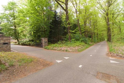 an empty road in the middle of a forest at B&B Het Zonnehuis Boxtel in Boxtel