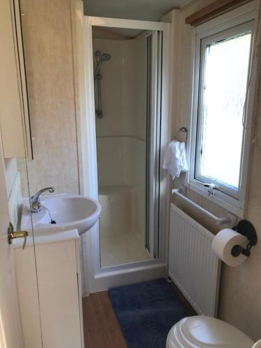 a bathroom with a sink and a shower and a toilet at Shepherds Huts Ham Hill, 2 double beds, Bathroom, Lounge, Diner, Kitchen, LOVE dogs & Cats Looking out to lake and by Ham Hill Country Park plus parking for large vehicles available also great deals on workers long term This is the place to relax and BBQ in Yeovil