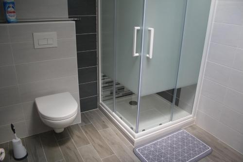 uma casa de banho com um WC e uma cabina de duche em vidro. em Gîte du courtil aux fées em Saint-Laurent