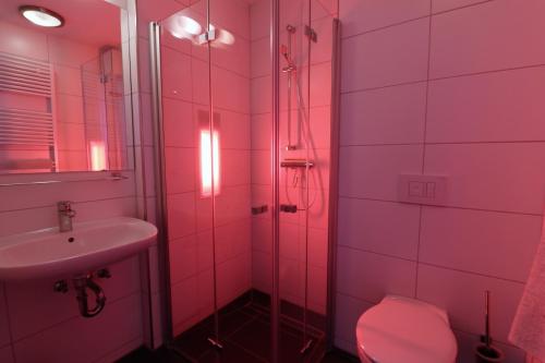 a bathroom with a shower and a toilet and a sink at UplandParcs Residence Astenberg in Winterberg