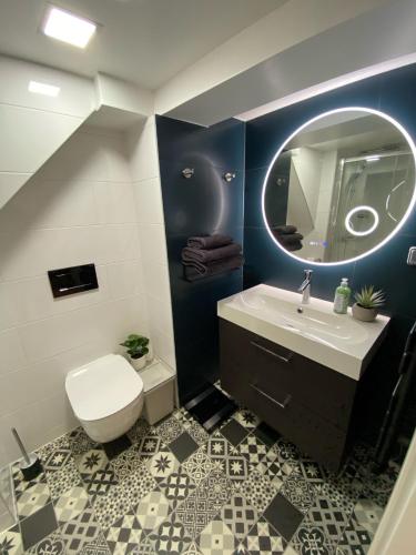 une salle de bain avec toilettes, lavabo et miroir dans l'établissement DUPLEX Le 12 - Appartement avec terrasse dans le vignoble - 5 mn du centre de Colmar, à Wettolsheim