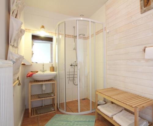a bathroom with a shower and a sink at La Ferme Dagué in Lasseube
