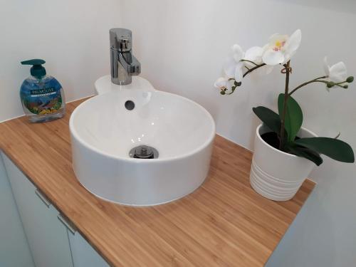 a white sink and a vase with flowers on a counter at F2 - 30m2 Face à la mer in Luc-sur-Mer