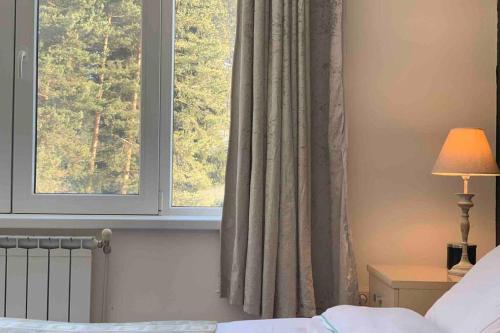 a bedroom with a window and a bed and a lamp at Villa Aquila in Beli Iskar