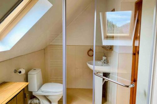 La petite salle de bains est pourvue de toilettes et d'un lavabo. dans l'établissement Villa Aquila, à Beli Iskar