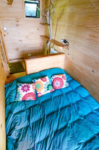 Gallery image of Chili Kiwi Lakefront Backpackers in Pucón