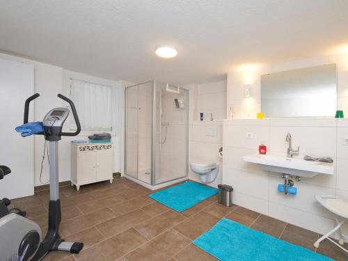 ein Badezimmer mit einem Waschbecken, einem WC und einem Laufband in der Unterkunft Ferienwohnung Beim Halt in Wasserburg am Inn