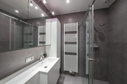 a bathroom with a shower and a sink and a mirror at Ostend Center Parkview Apartment Free Parking in Ostend