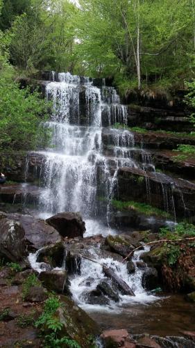 a waterfall in the middle of a forest at Etno kuca Nikolov in Dimitrovgrad