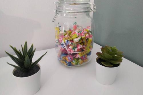 un frasco de caramelos y una planta sobre una mesa en Studio Guest House à 5 minutes de Caen en Fontaine-Étoupefour