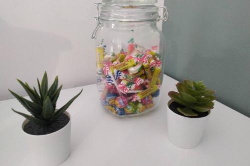 a jar of candy and a plant on a table at Studio Guest House à 5 minutes de Caen in Fontaine-Étoupefour