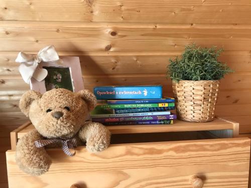 a teddy bear sitting on a shelf with books at Drewniany domek nad Miedwiem in Morzyczyn