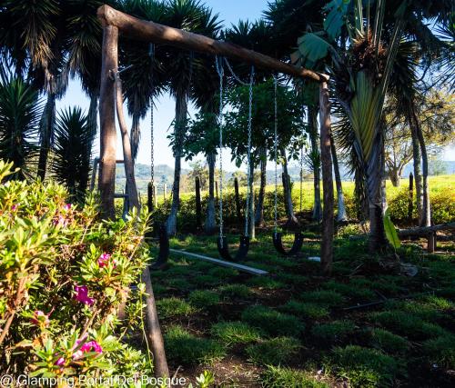 a garden with palm trees and swings at Glamping Portal Del Bosque in Pacho