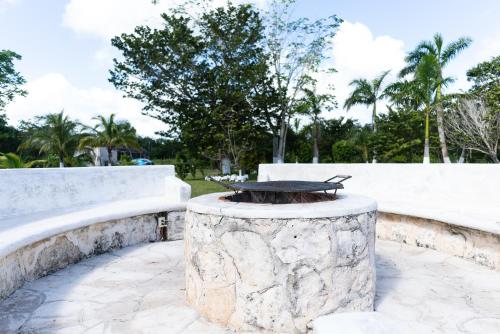 a table sitting on top of a tree stump at Aldea Isla Sagrada in Cozumel