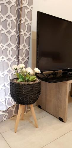 a flower pot sitting on a table next to a tv at Xenia_Apartments A7 in Kozani