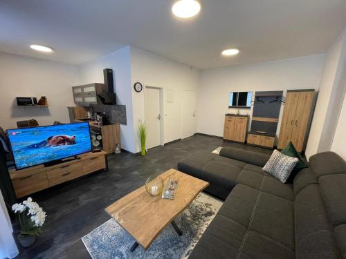 a living room with a couch and a flat screen tv at Mariposa 4 incl Pool & Sauna in Bad Harzburg