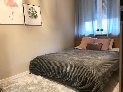 a bedroom with a bed with pink pillows and a window at Apartament Szosa Chełmińska in Toruń