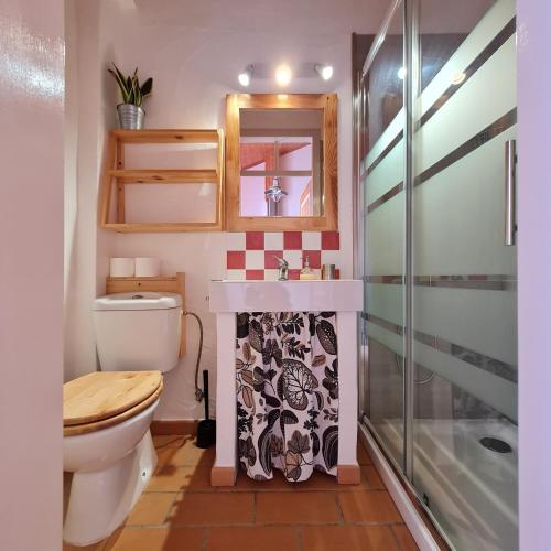 a bathroom with a toilet and a shower at Alba Odeceixe - casa alta in Odeceixe