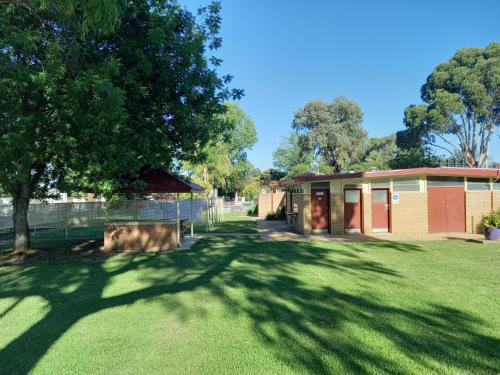 a house with a tree and a grass yard at Young Caravan and Tourist Park in Young