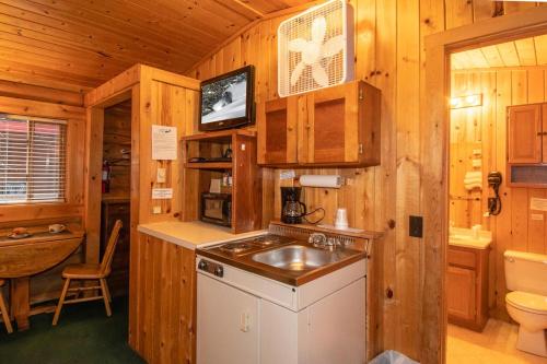 una cocina con fregadero en una cabaña de madera en Teton Valley Cabins, en Driggs