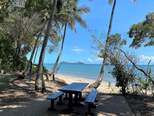 - une table de pique-nique sur une plage bordée de palmiers dans l'établissement Ribbons Beachfront Apartments Clifton Beach, à Clifton Beach