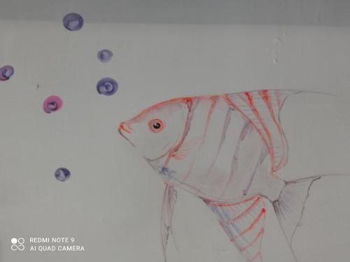 a drawing of a fish on a wall with purple buttons at Casa Caracola in Tubará