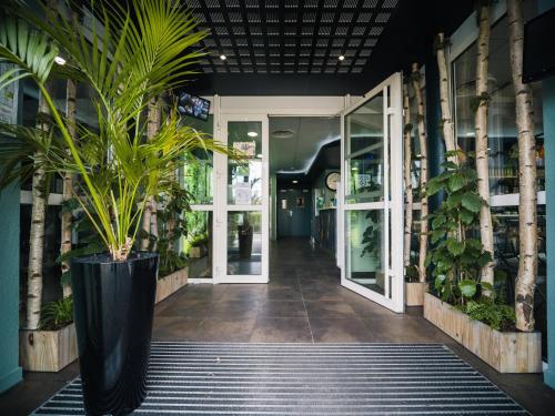a plant in a large black pot on a hallway at ibis budget Bordeaux Aéroport in Mérignac