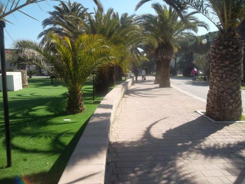 Gallery image of Hotel Quattro Palme in Tortoreto Lido