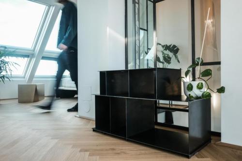 una sala de estar con un armario negro con una planta en Blackriver Loft Vienna mit gratis Parkplatz nahe Schönbrunn und U6 en Viena
