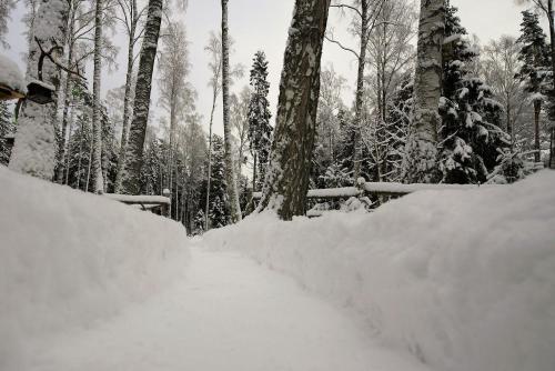 a snow covered path in a forest with trees at Hõbekala Guesthouse in Kalana