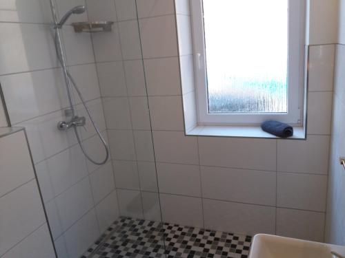 a bathroom with a shower and a window at Monteurswohnung am Wasserturm in Worms