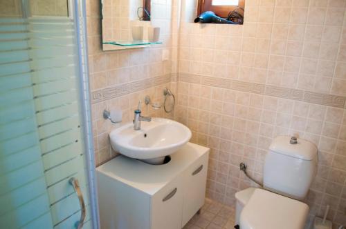 a bathroom with a sink and a toilet at Villa Darmarohori Homeleader in Darmarochori