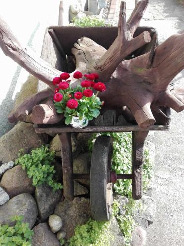 a wooden wheelbarrow with red flowers on it at Ferienbungalow 2 in Dierkow
