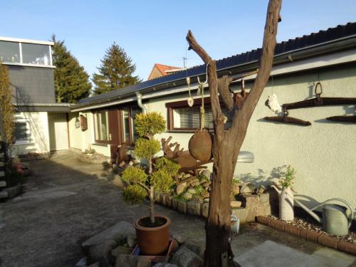 ein Haus mit einem Baum davor in der Unterkunft Ferienbungalow 2 in Dierkow